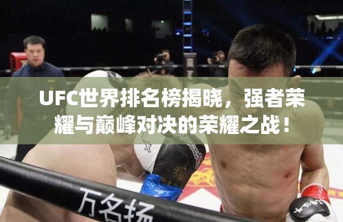UFC世界排名榜揭曉，強者榮耀與巔峰對決的榮耀之戰(zhàn)！