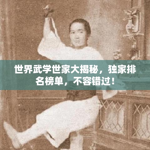世界武學(xué)世家大揭秘，獨(dú)家排名榜單，不容錯過！