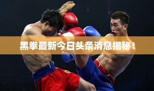 黑拳最新今日頭條消息揭秘！