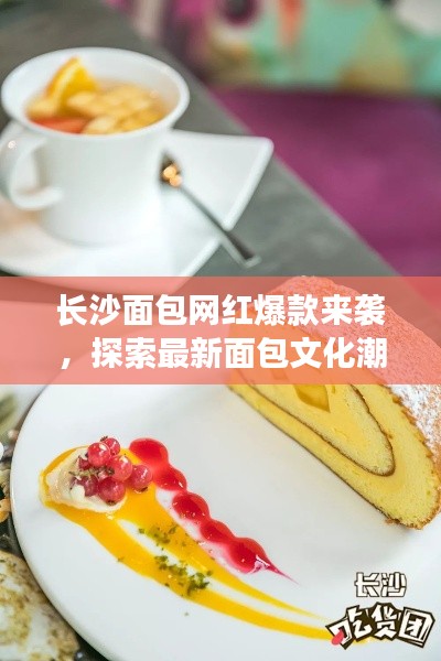 長沙面包網(wǎng)紅爆款來襲，探索最新面包文化潮流