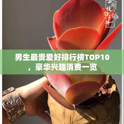 男生最貴愛好排行榜TOP10，豪華興趣消費(fèi)一覽