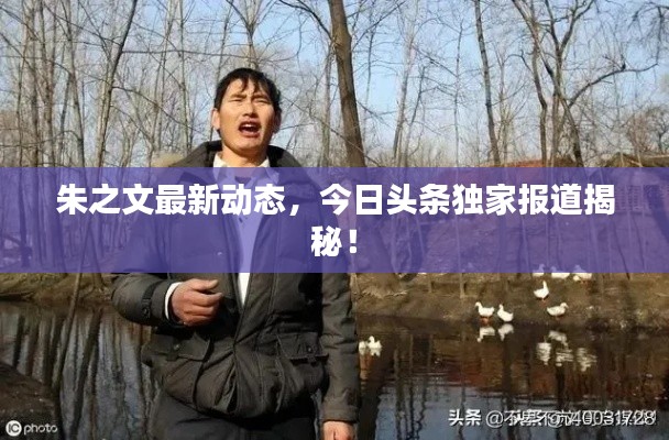 朱之文最新動態(tài)，今日頭條獨家報道揭秘！