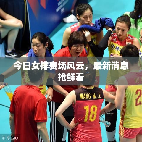 今日女排賽場風(fēng)云，最新消息搶鮮看