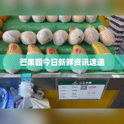 眼空四海 第3頁(yè)