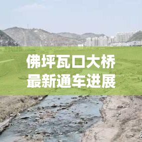 佛坪瓦口大橋最新通車進(jìn)展，交通新里程碑誕生！