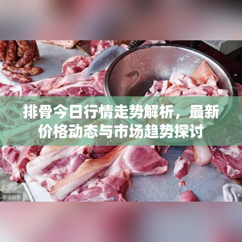 排骨今日行情走勢解析，最新價格動態(tài)與市場趨勢探討
