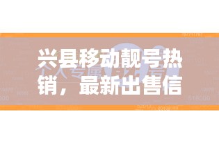 興縣移動(dòng)靚號(hào)熱銷，最新出售信息一覽