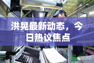 洪晃最新動態(tài)，今日熱議焦點