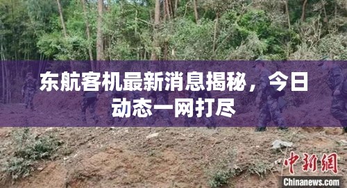 東航客機(jī)最新消息揭秘，今日動(dòng)態(tài)一網(wǎng)打盡