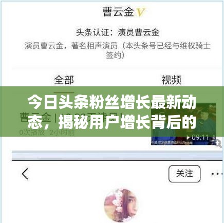 今日頭條粉絲增長最新動態(tài)，揭秘用戶增長背后的秘密！