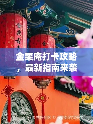 金粟庵打卡攻略，最新指南來(lái)襲！