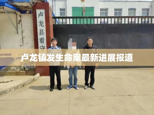 盧龍鎮(zhèn)發(fā)生命案最新進展報道