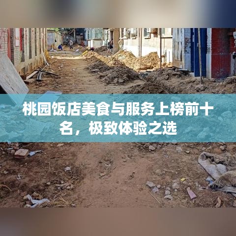 桃園飯店美食與服務(wù)上榜前十名，極致體驗(yàn)之選