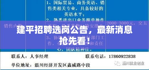 建平招聘選崗公告，最新消息搶先看！