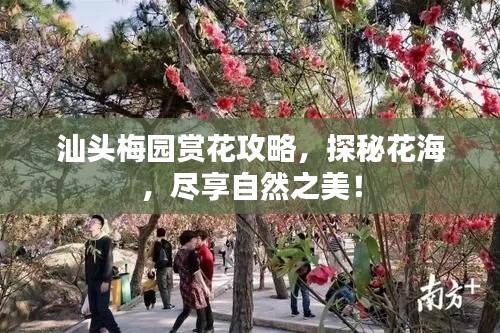 汕頭梅園賞花攻略，探秘花海，盡享自然之美！