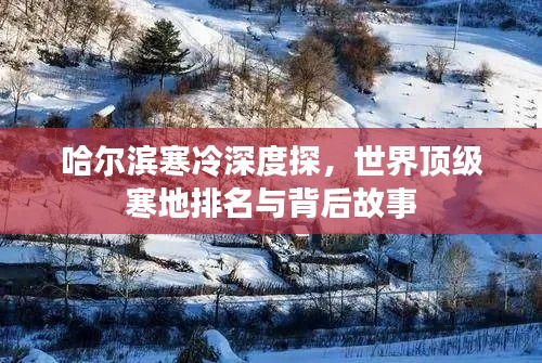 花枝招展 第3頁