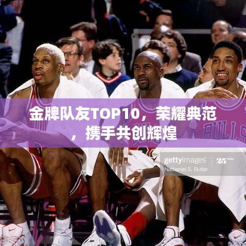 金牌隊友TOP10，榮耀典范，攜手共創(chuàng)輝煌