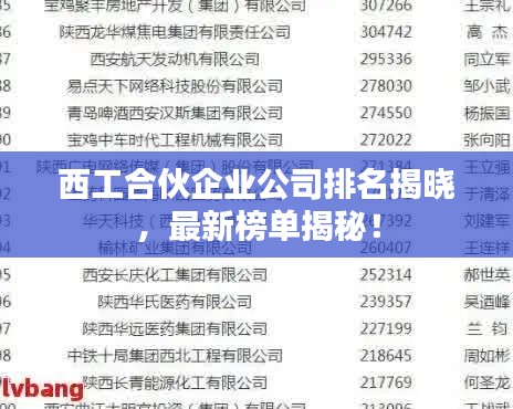 西工合伙企業(yè)公司排名揭曉，最新榜單揭秘！