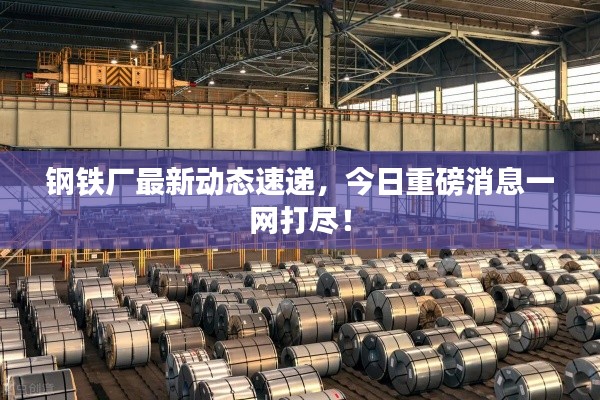 鋼鐵廠最新動態(tài)速遞，今日重磅消息一網(wǎng)打盡！