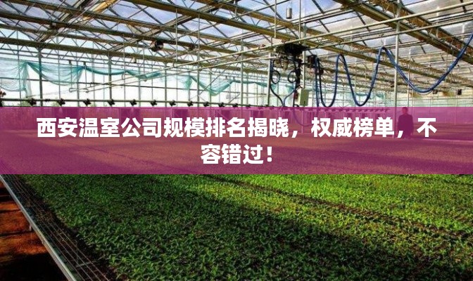西安溫室公司規(guī)模排名揭曉，權(quán)威榜單，不容錯(cuò)過！