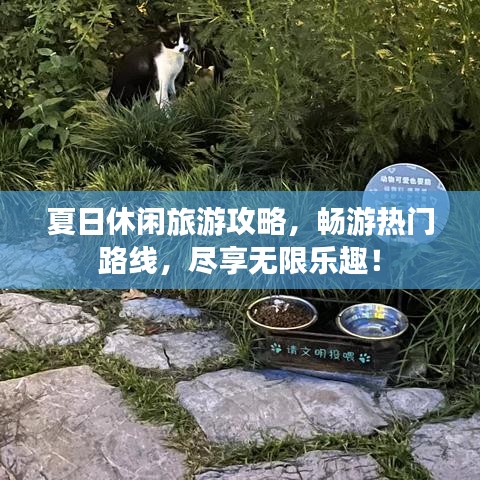 夏日休閑旅游攻略，暢游熱門路線，盡享無(wú)限樂趣！