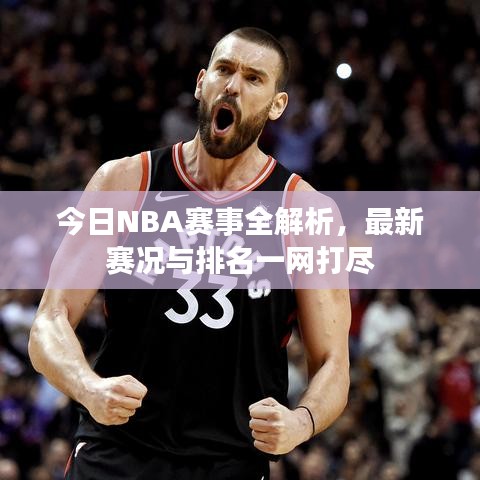 今日NBA賽事全解析，最新賽況與排名一網打盡