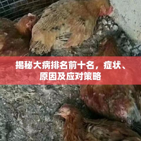 揭秘大病排名前十名，癥狀、原因及應(yīng)對策略