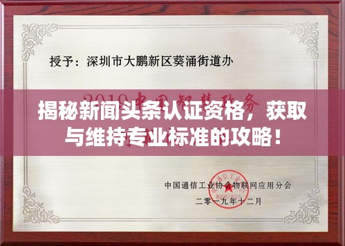 揭秘新聞?lì)^條認(rèn)證資格，獲取與維持專業(yè)標(biāo)準(zhǔn)的攻略！