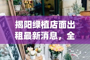 揭陽(yáng)綠植店面出租最新消息，全面更新，一睹即知