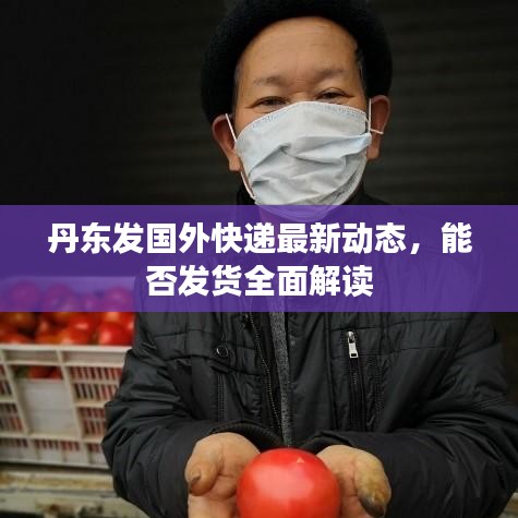 丹東發(fā)國外快遞最新動態(tài)，能否發(fā)貨全面解讀