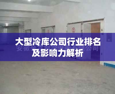 大型冷庫公司行業(yè)排名及影響力解析