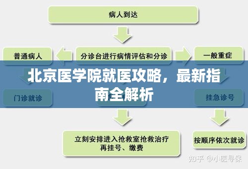 北京醫(yī)學(xué)院就醫(yī)攻略，最新指南全解析