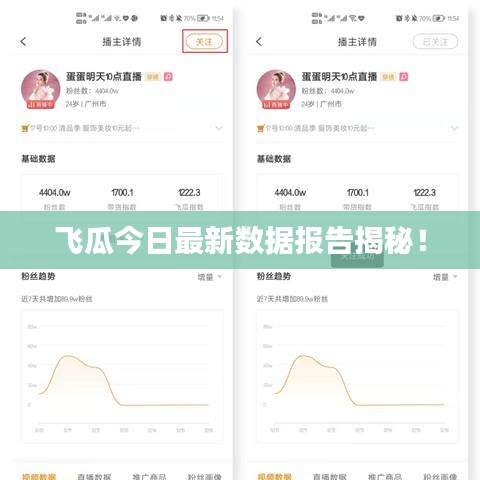 飛瓜今日最新數(shù)據(jù)報(bào)告揭秘！