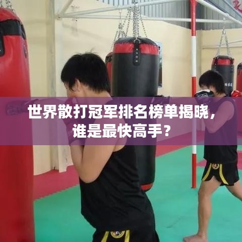 世界散打冠軍排名榜單揭曉，誰是最快高手？
