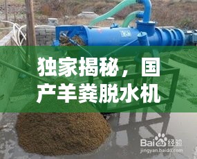 自作主張 第3頁(yè)