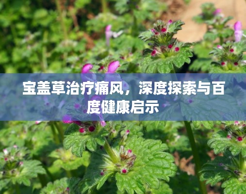 寶蓋草治療痛風，深度探索與百度健康啟示