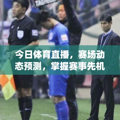 今日體育直播，賽場動態(tài)預(yù)測，掌握賽事先機最新消息