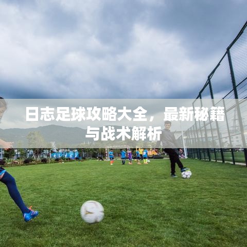 日志足球攻略大全，最新秘籍與戰(zhàn)術(shù)解析