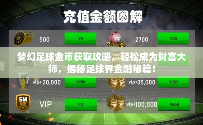 夢(mèng)幻足球金幣獲取攻略，輕松成為財(cái)富大師，揭秘足球界金融秘籍！