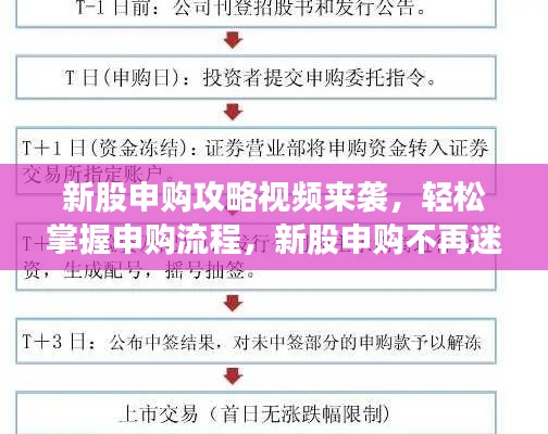 新股申購攻略視頻來襲，輕松掌握申購流程，新股申購不再迷茫