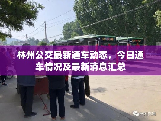 林州公交最新通車動(dòng)態(tài)，今日通車情況及最新消息匯總