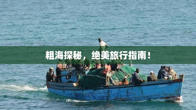 粗海探秘，絕美旅行指南！