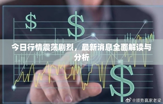 今日行情震蕩劇烈，最新消息全面解讀與分析
