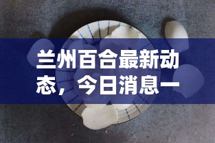 蘭州百合最新動態(tài)，今日消息一網(wǎng)打盡！