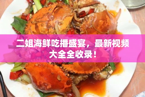 二姐海鮮吃播盛宴，最新視頻大全全收錄！