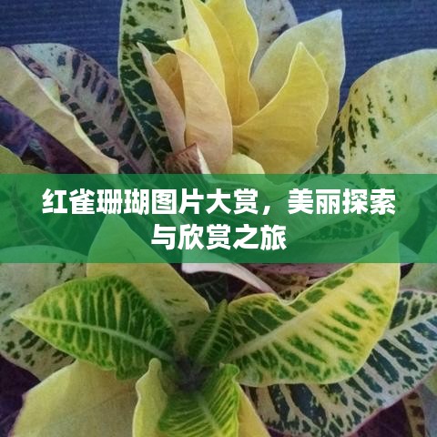 風韻猶存 第3頁