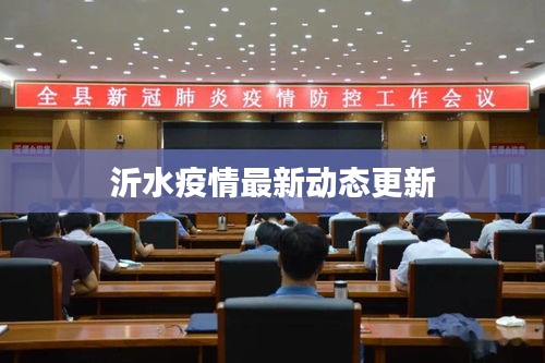 沂水疫情最新動態(tài)更新