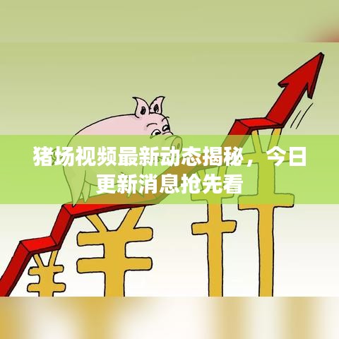 豬場(chǎng)視頻最新動(dòng)態(tài)揭秘，今日更新消息搶先看