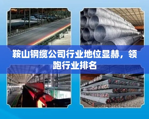 鞍山鋼纜公司行業(yè)地位顯赫，領(lǐng)跑行業(yè)排名