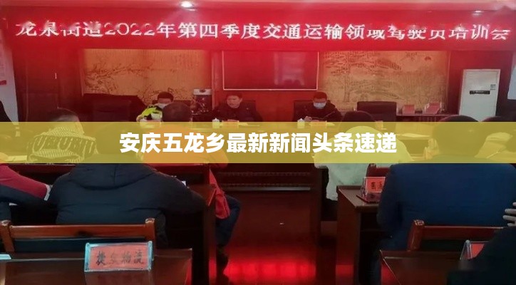 安慶五龍鄉(xiāng)最新新聞?lì)^條速遞